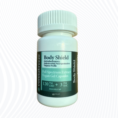 BodyShieldFront