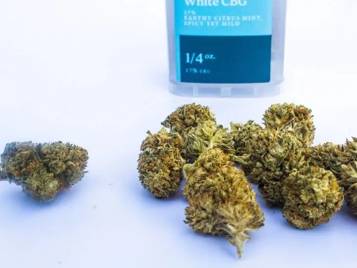 rs=w_730,h_549,cg_true