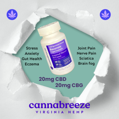 ProductLaunchRecoveryGummies
