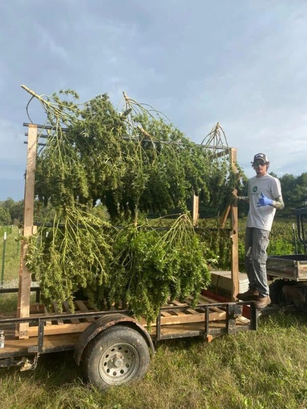 CB_AdoptAPlant4